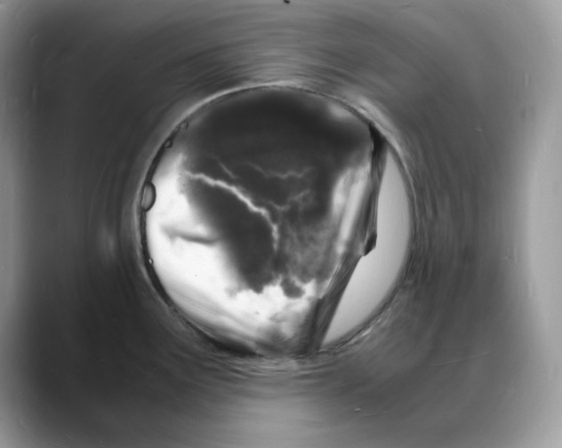 X0000088031291200706081454