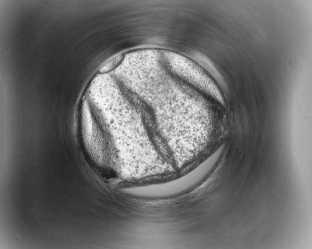 X0000088031292200706081454