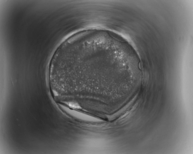 X0000088031295200706081454