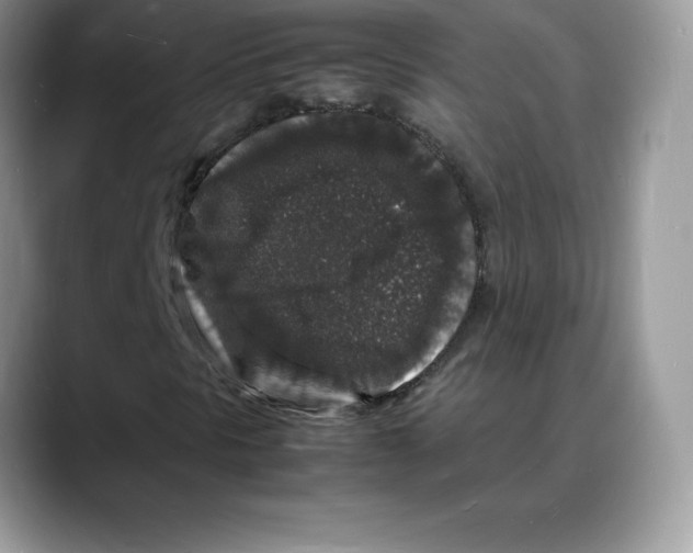 X0000088031297200706081453