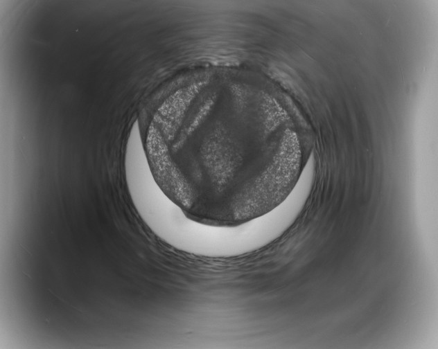 X0000088031298200706081453