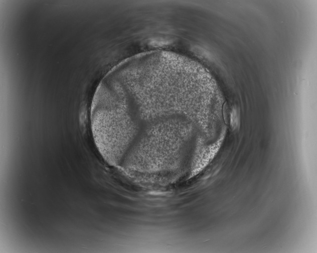 X0000088031299200706081453