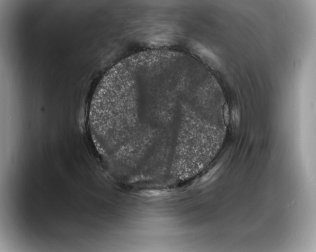 X0000088031300200706081453