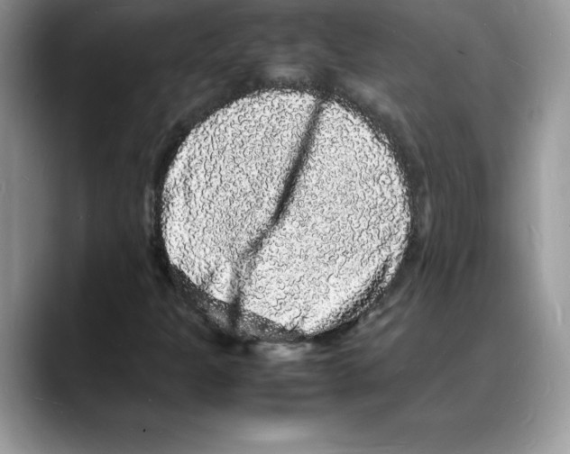 X0000088031301200706081453