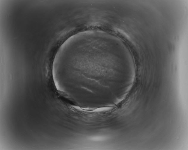 X0000088031303200706081453