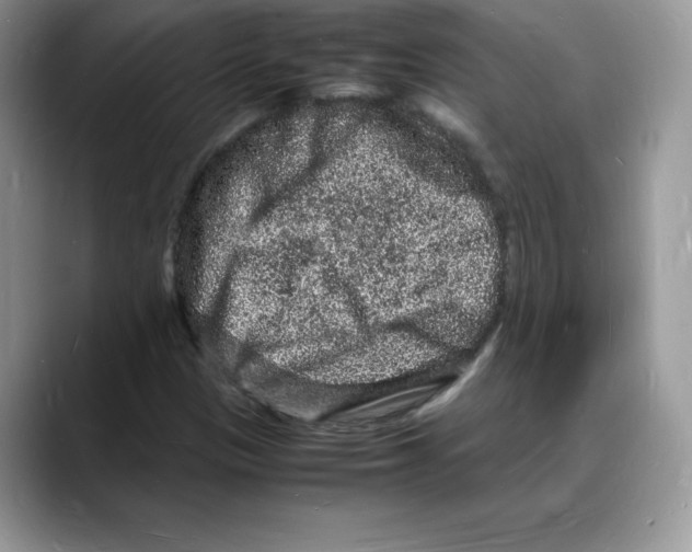 X0000088031305200706081453