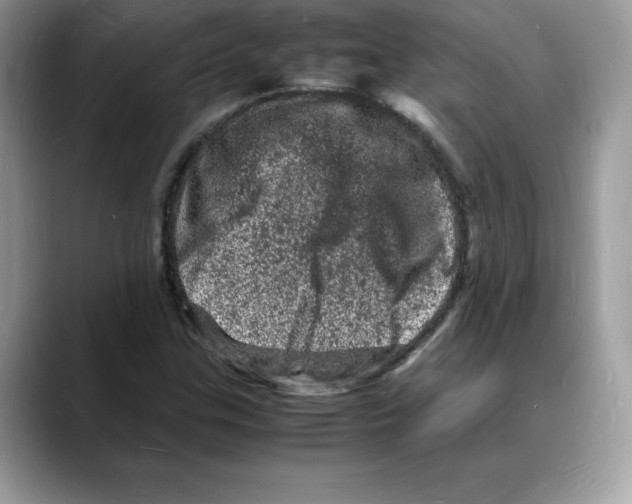 X0000088031307200706081453