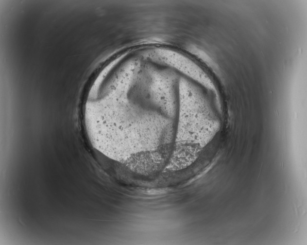 X0000088031308200706081453