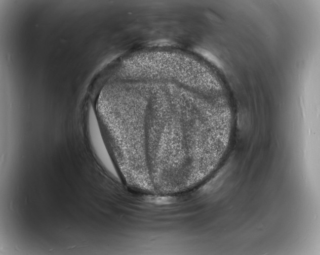 X0000088031309200706081453