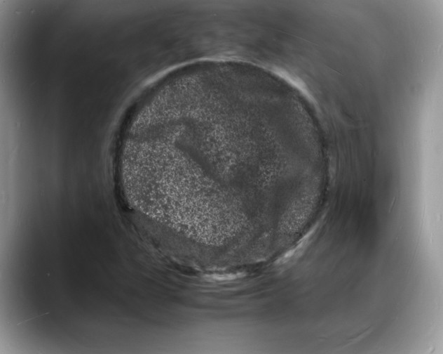 X0000088031311200706081453