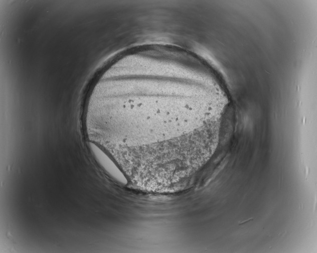 X0000088031312200706081453