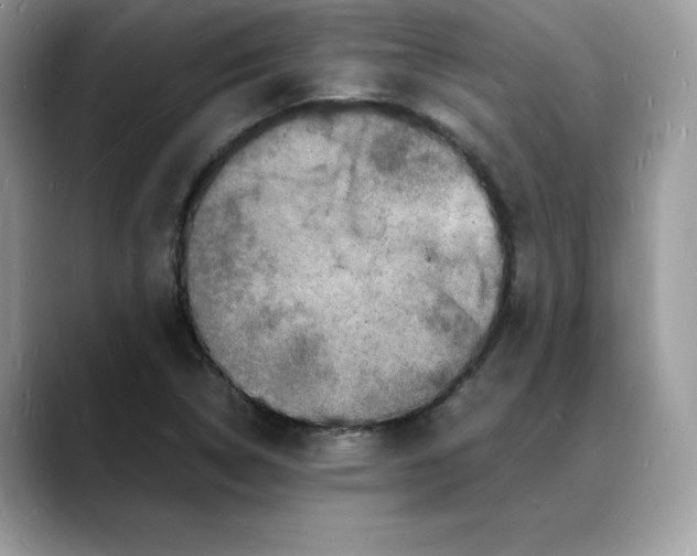 X0000088031314200706081453