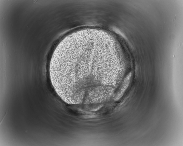 X0000088031315200706081453