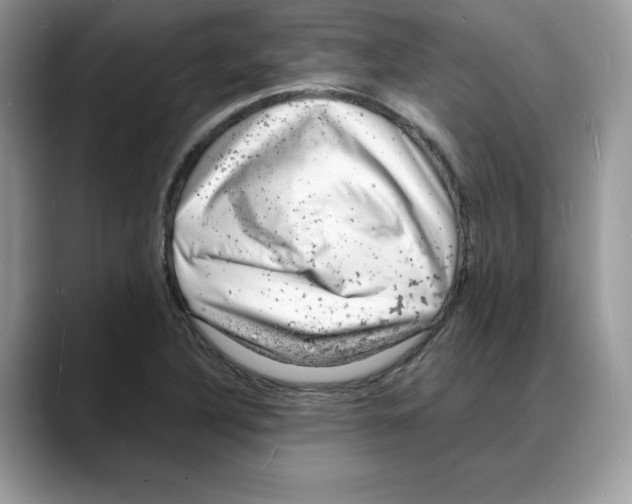 X0000088031316200706081453