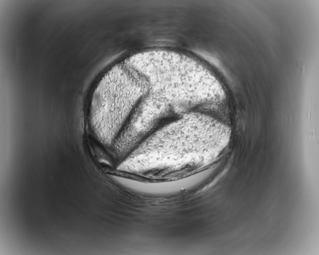 X0000088031317200706081453