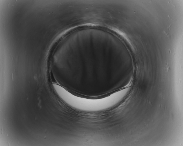 X0000088031319200706081453