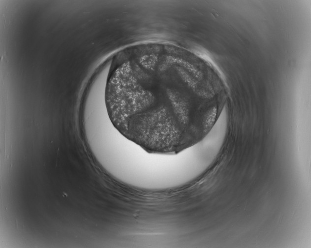 X0000088031320200706081453