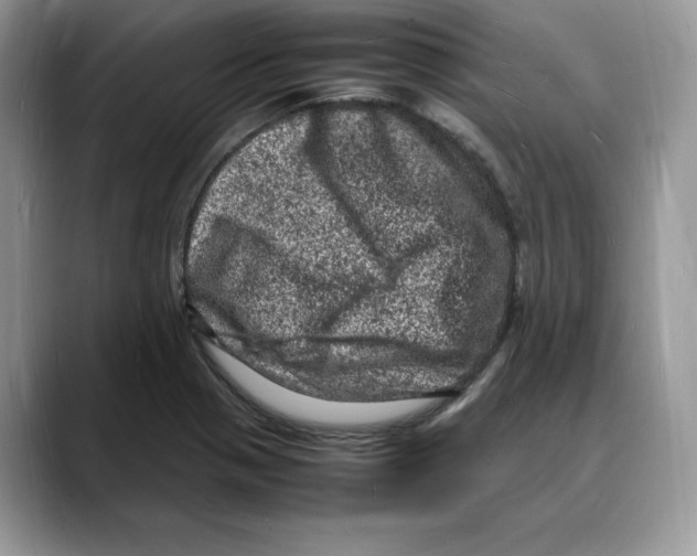 X0000088031321200706081453