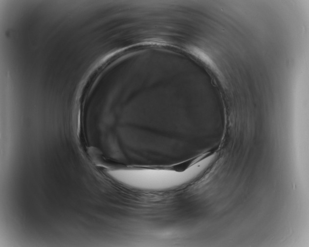 X0000088031323200706081453