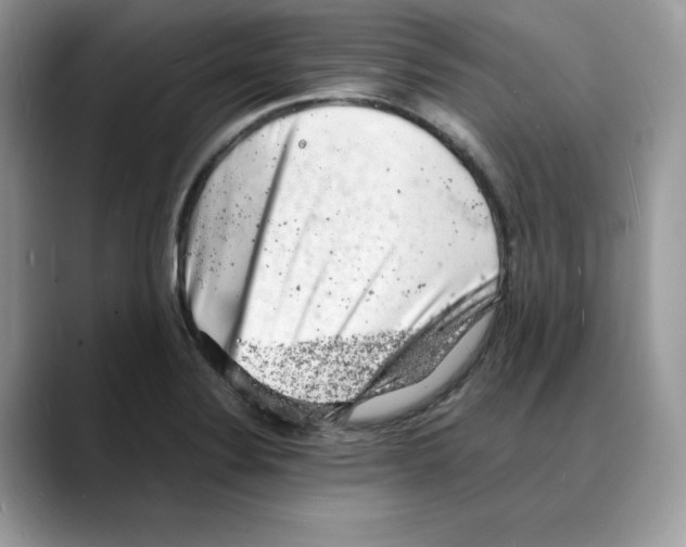 X0000088031324200706081453