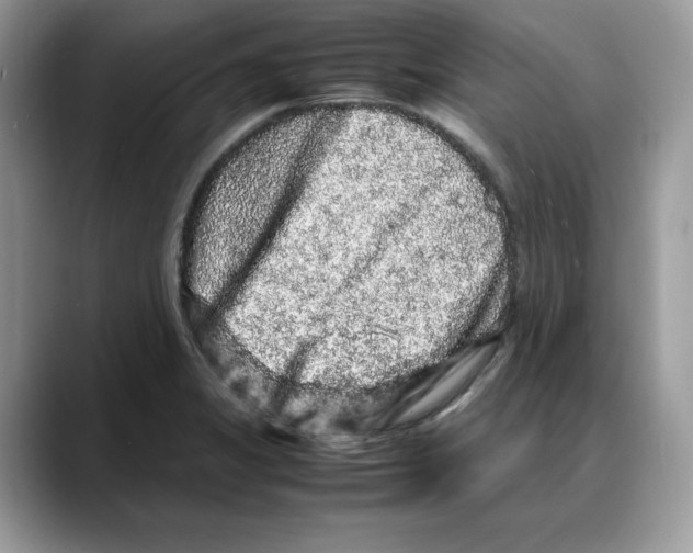 X0000088031325200706081453