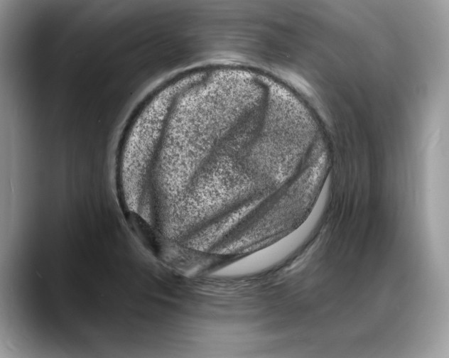 X0000088031326200706081453