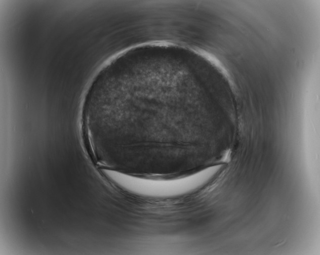 X0000088031327200706081453