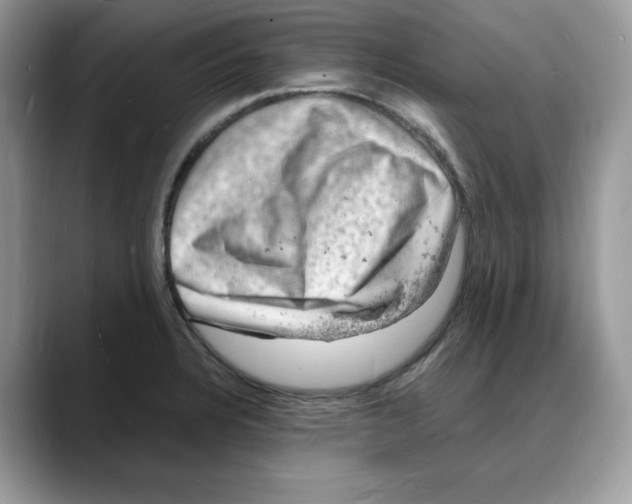 X0000088031328200706081453