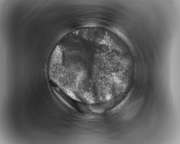 X0000088031329200706081453