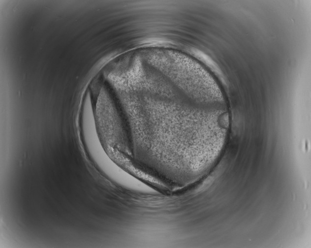 X0000088031330200706081453