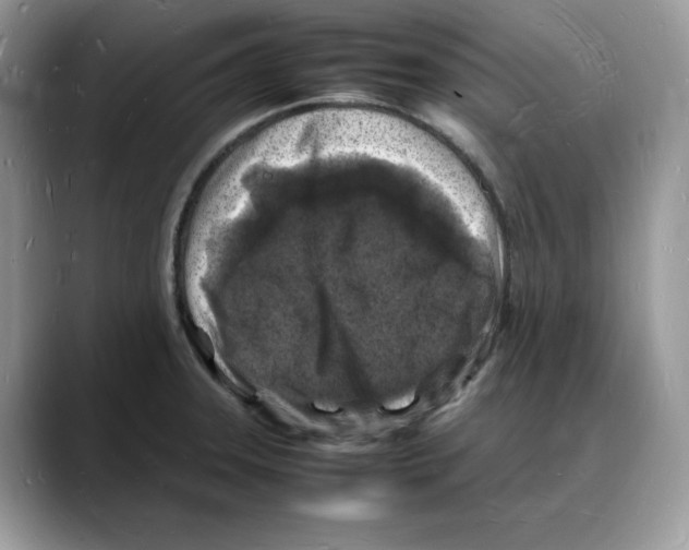 X0000088031331200706081454