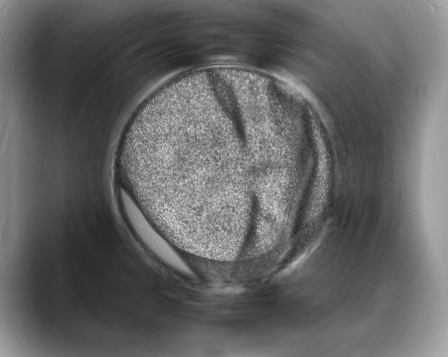 X0000088031333200706081454