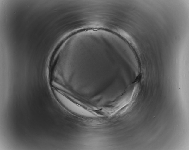 X0000088031334200706081454