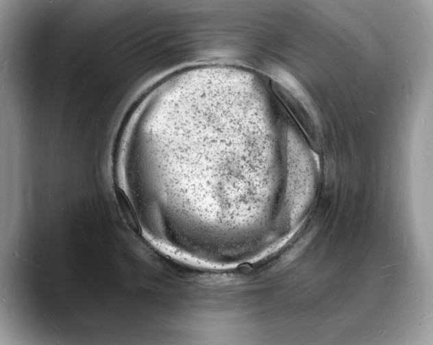 X0000088031336200706081454