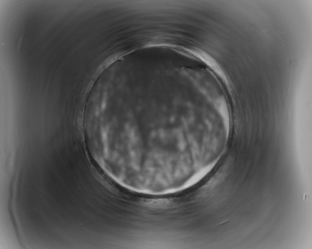 X0000088031337200706081454