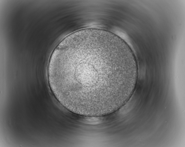 X0000088031338200706081454