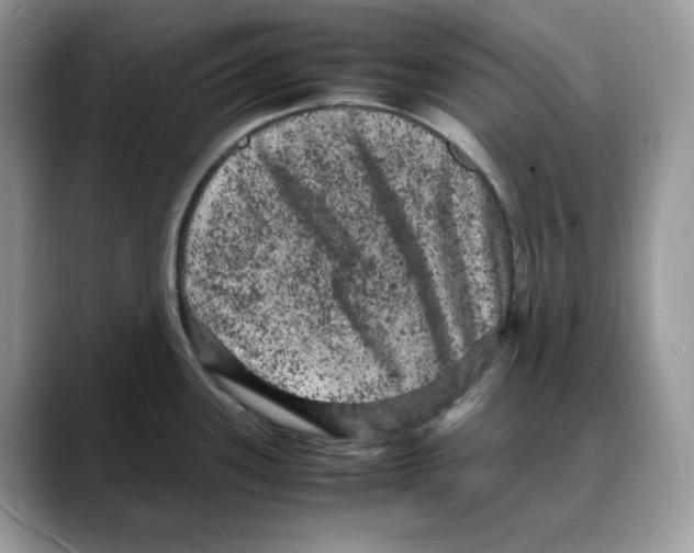 X0000088031339200706081454