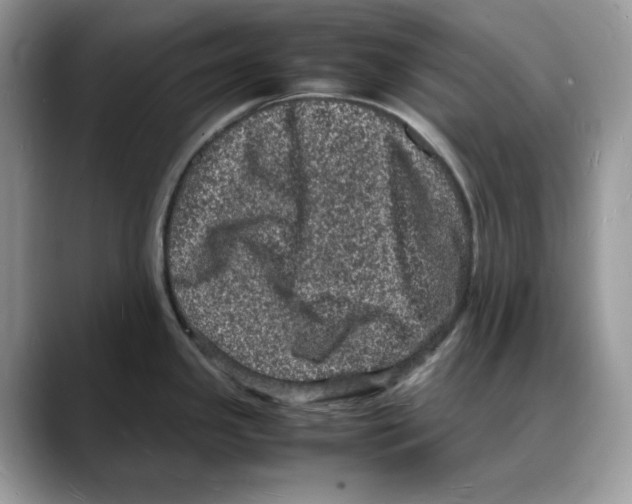 X0000088031341200706081454