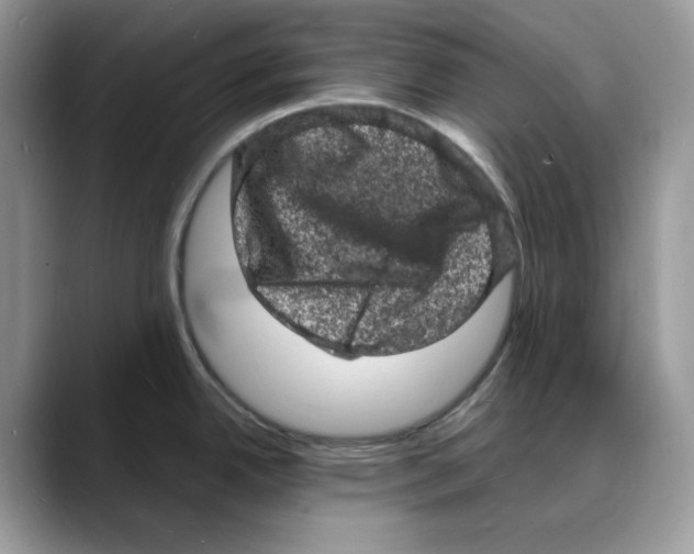 X0000088031342200706081454