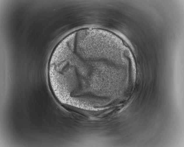 X0000088031343200706081454