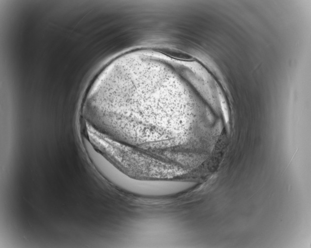 X0000088031344200706081454