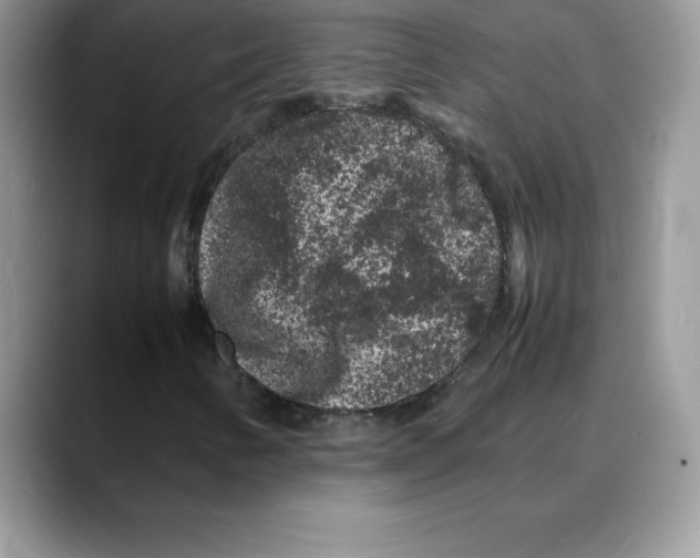 X0000088031346200706081453