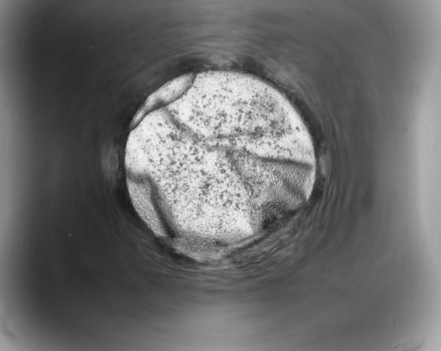 X0000088031347200706081453