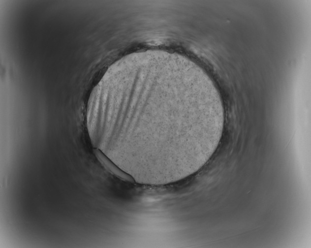 X0000088031349200706081453