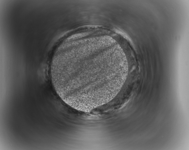 X0000088031352200706081453