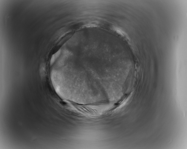 X0000088031353200706081453