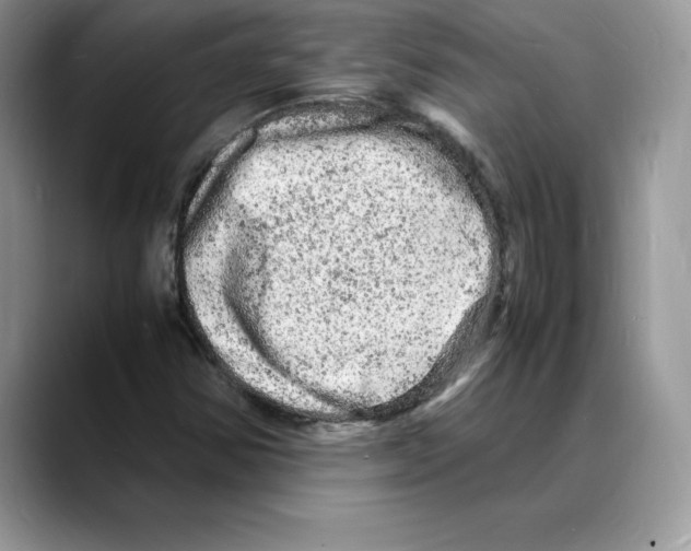 X0000088031354200706081453