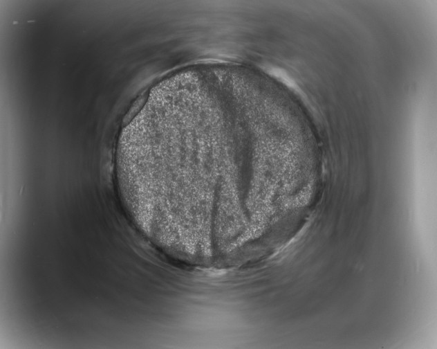 X0000088031355200706081453