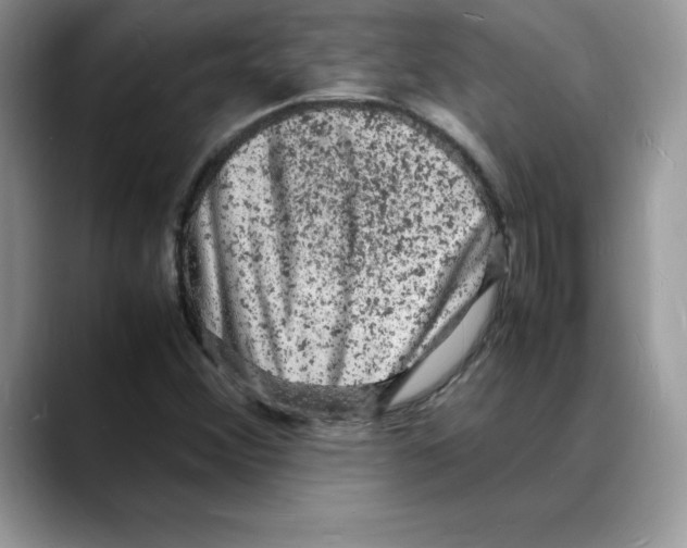 X0000088031356200706081453