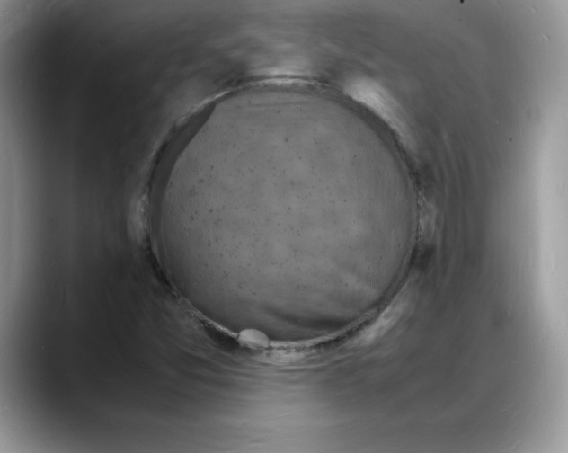 X0000088031357200706081453